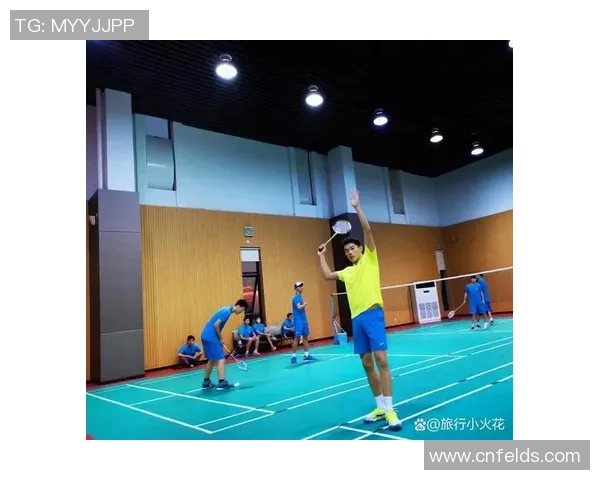 杭州羽毛球队总决赛表现分析个人能力与团队协作的完美结合
